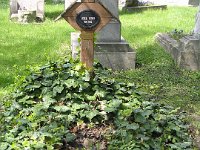 01-36 Beregi Oszkár